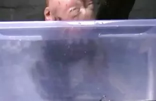 XXX Pasja, filmy porno za darmo w hd kochanie, doktor