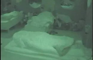 XXX Szczupła dziewczyna z obwisłą małą sex darmowe hd szczęką