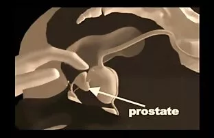 XXX Mama filmy porno hd za free też miała do czynienia z facetem