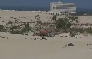 XXX Słodka pasja piękna znów przeklina darmowa erotyka w hd człowieka