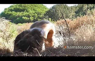 XXX Gej dziwka darmowe sex hd nad grupą