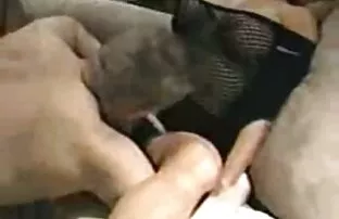 XXX Zboczeniec, darmowe filmy erotyczne w hd suka, biały, czarny,,