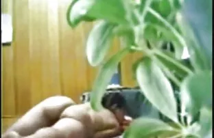 XXX Dla sex darmowy hd kobiet dźwięk pochwy